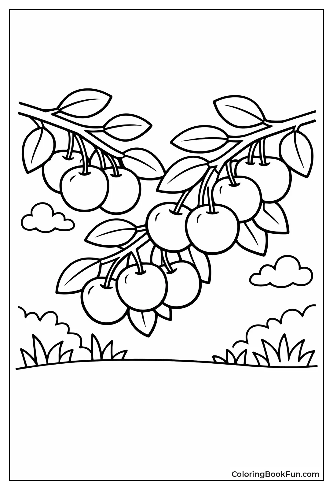 Tiny Baby Apples Cluster