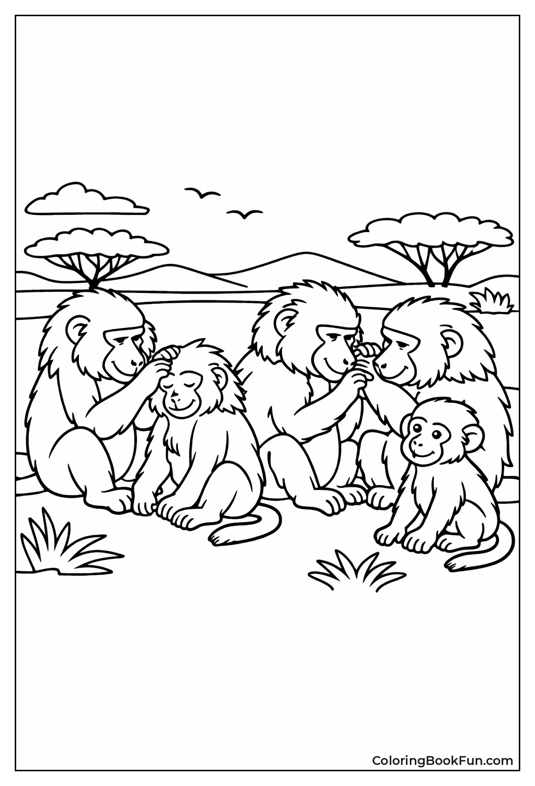 Baboons Groom Fur Together