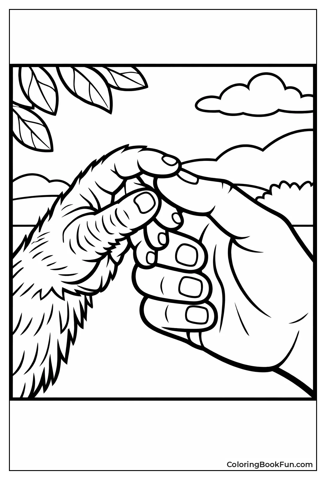 Monkey Hand Thumb Compare