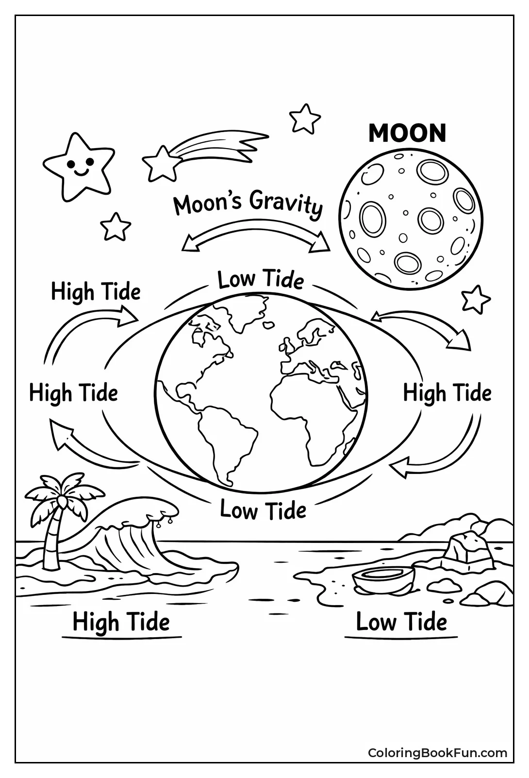 Moon Pulls High Ocean Tides