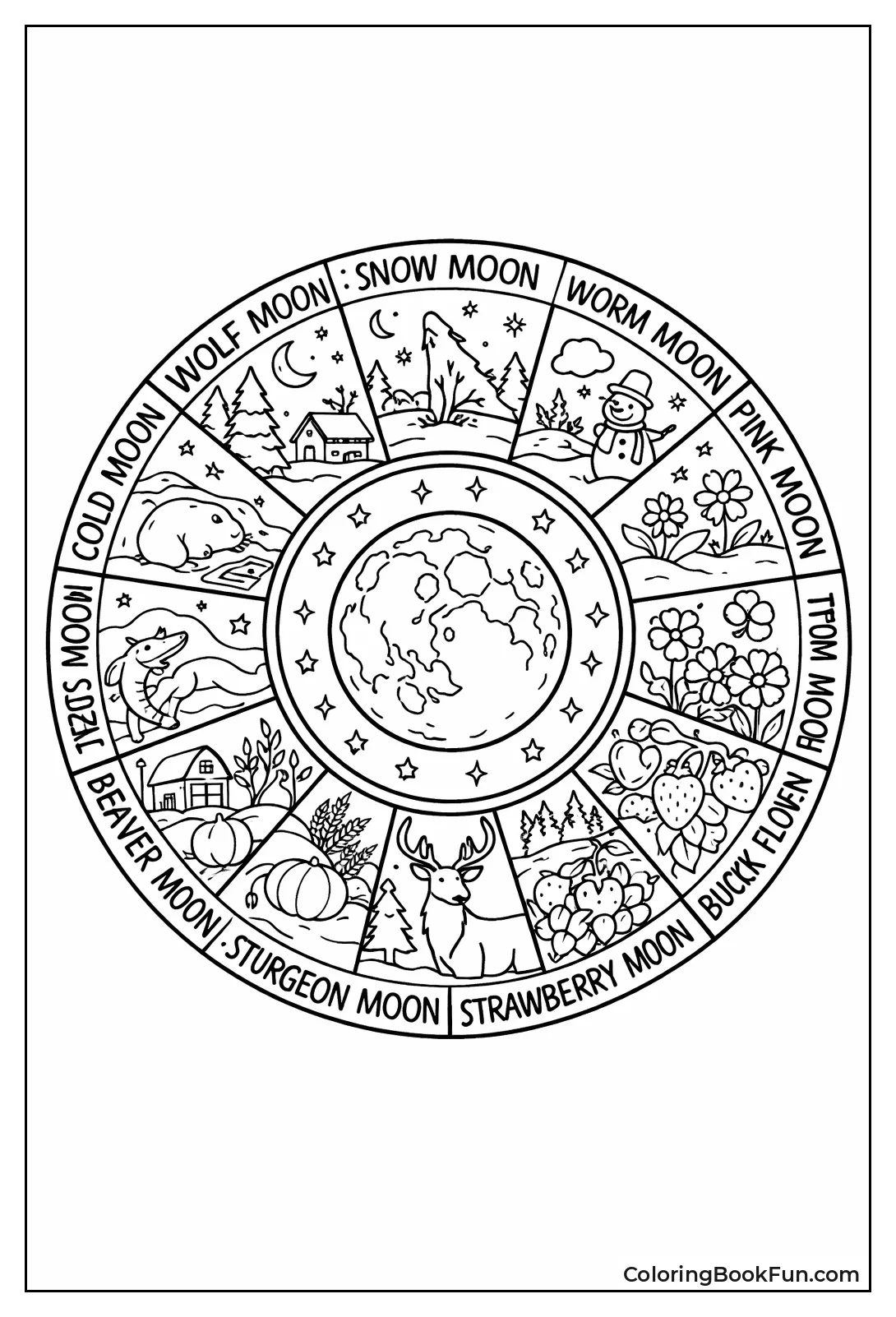 Twelve Moons Named for Year