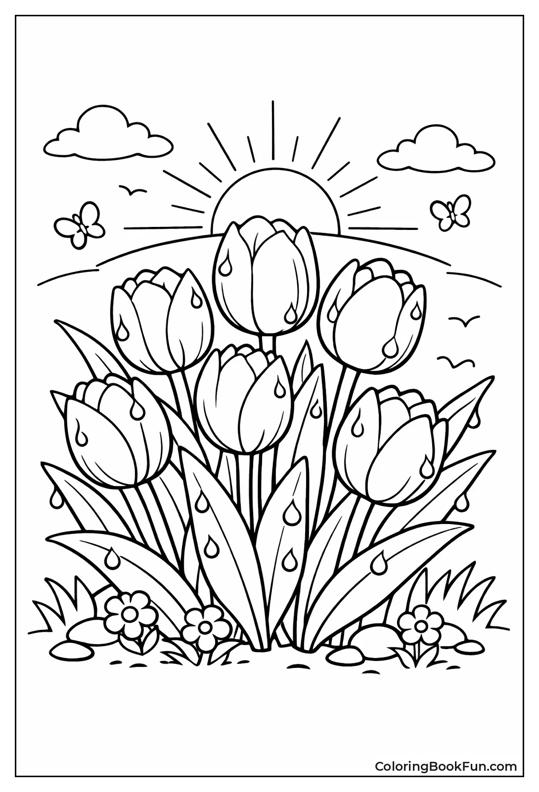 Tulips with Morning Dew