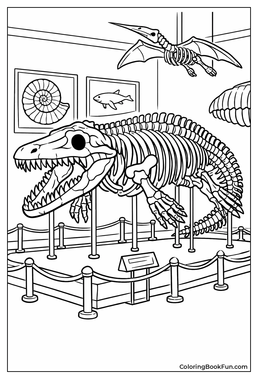 Mosasaurus Fossil Skeleton Pose