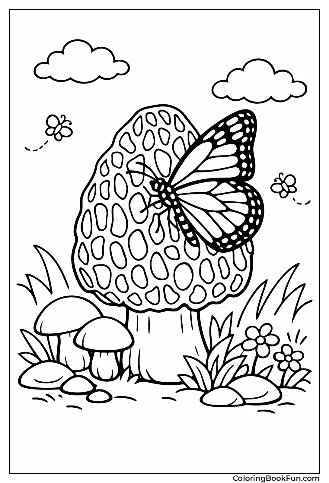 Butterfly Rests on Morel