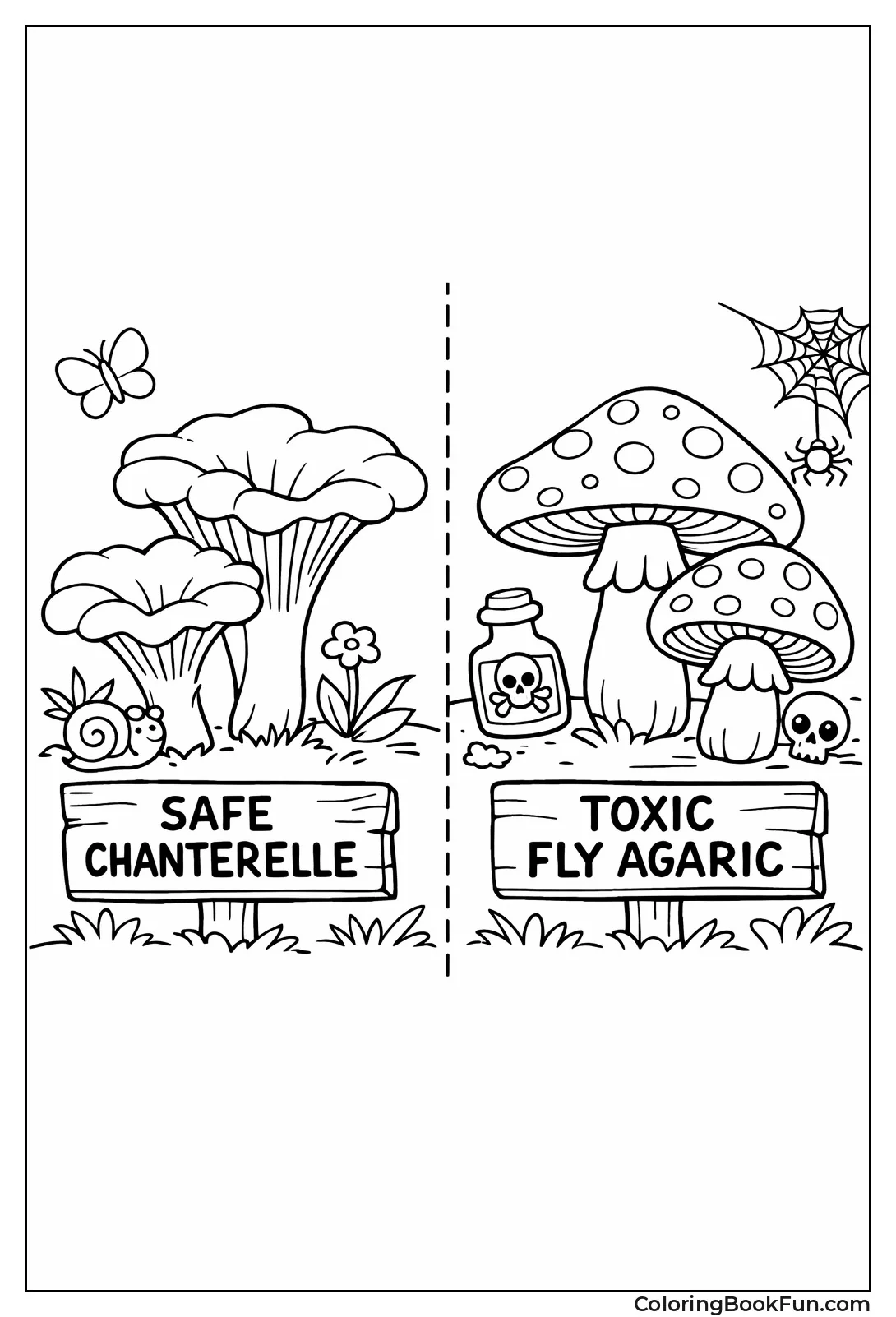Safe and Poison Mushrooms