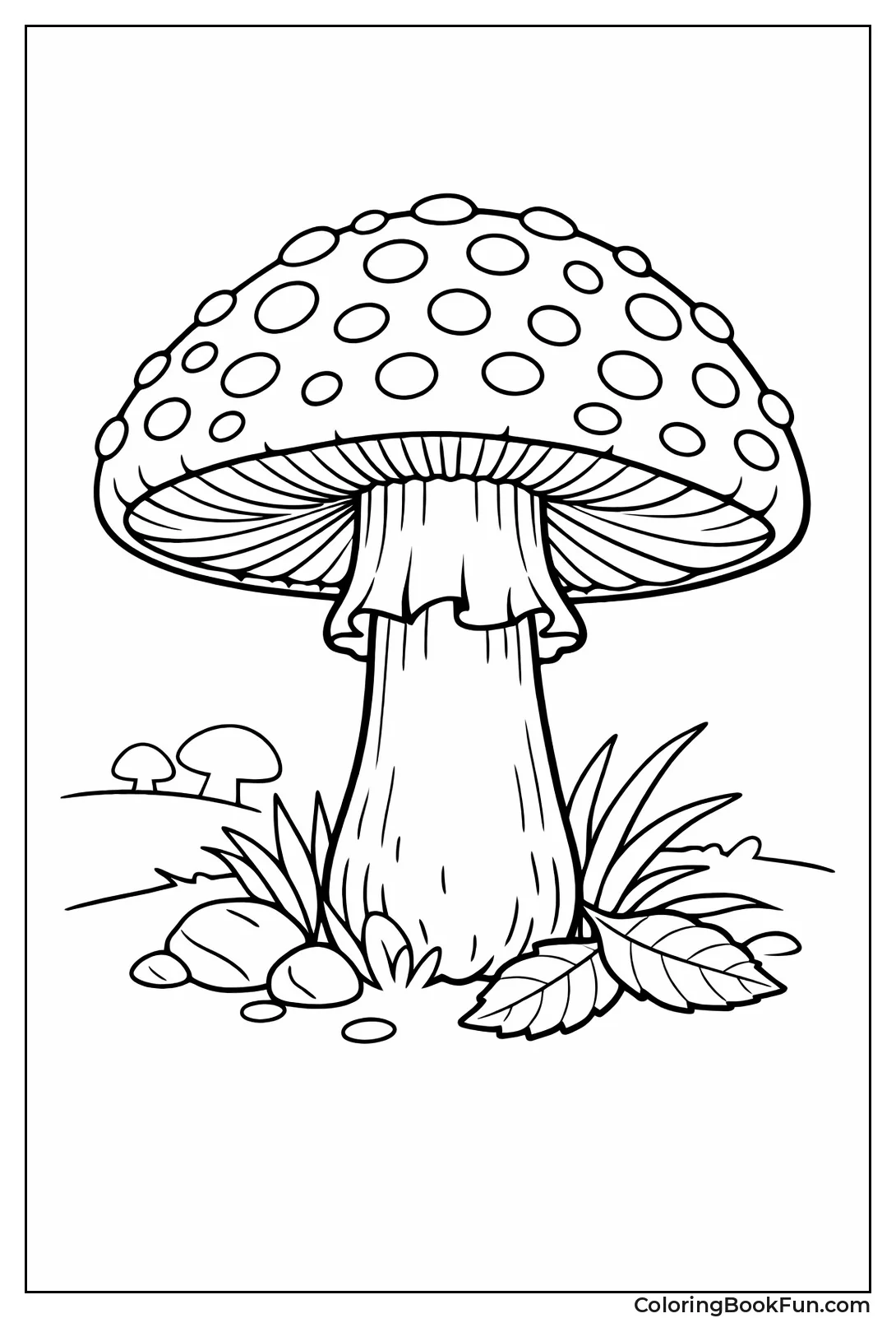 Red Fly Agaric with Spots