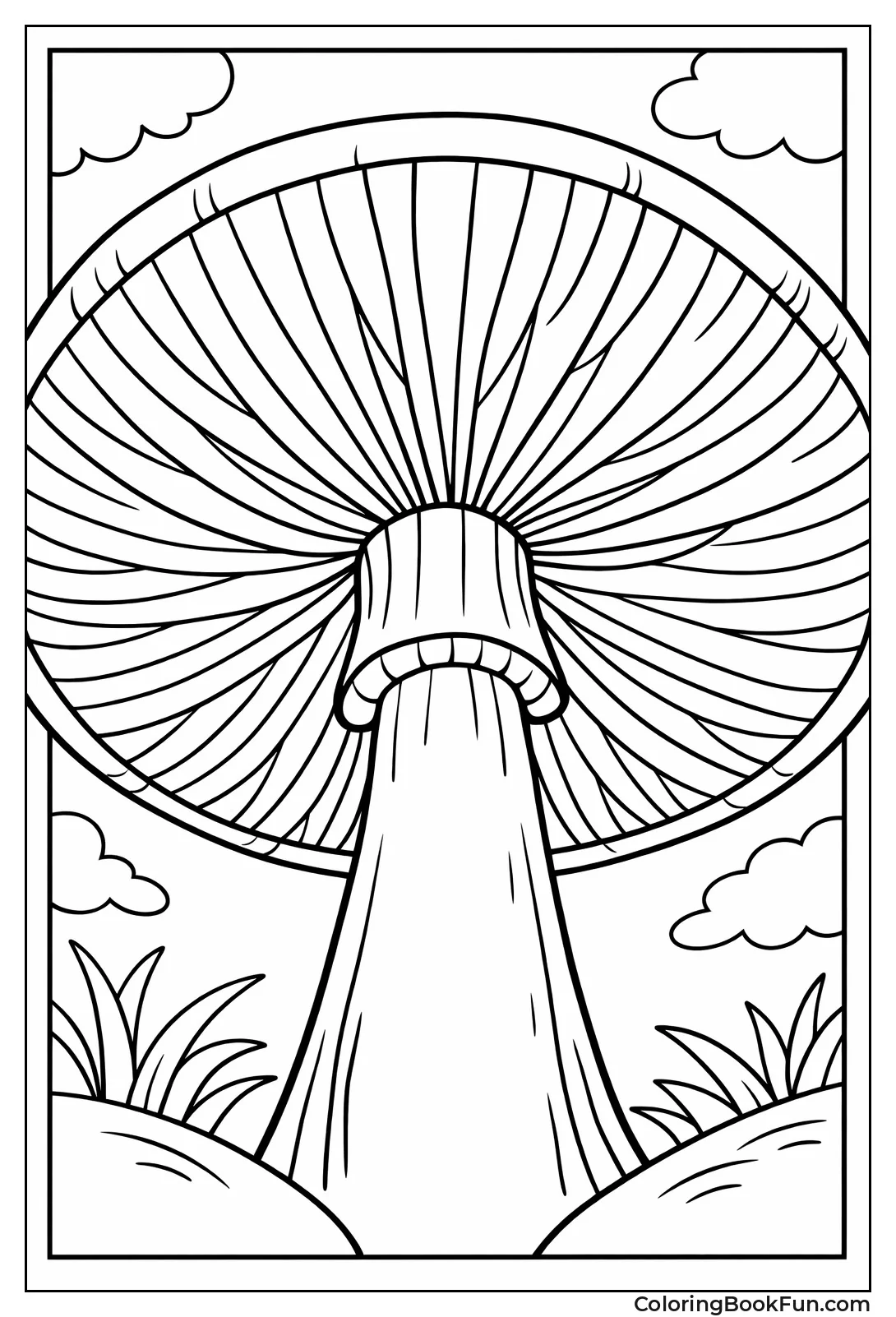 Gills under Mushroom Cap