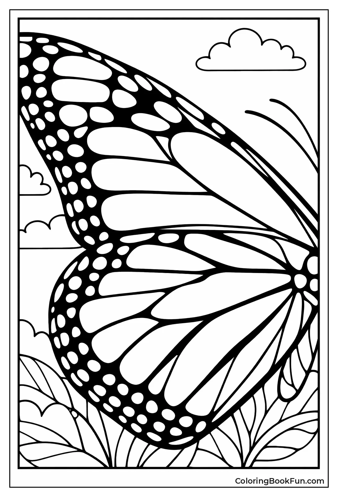 Butterfly Wing Close-Up