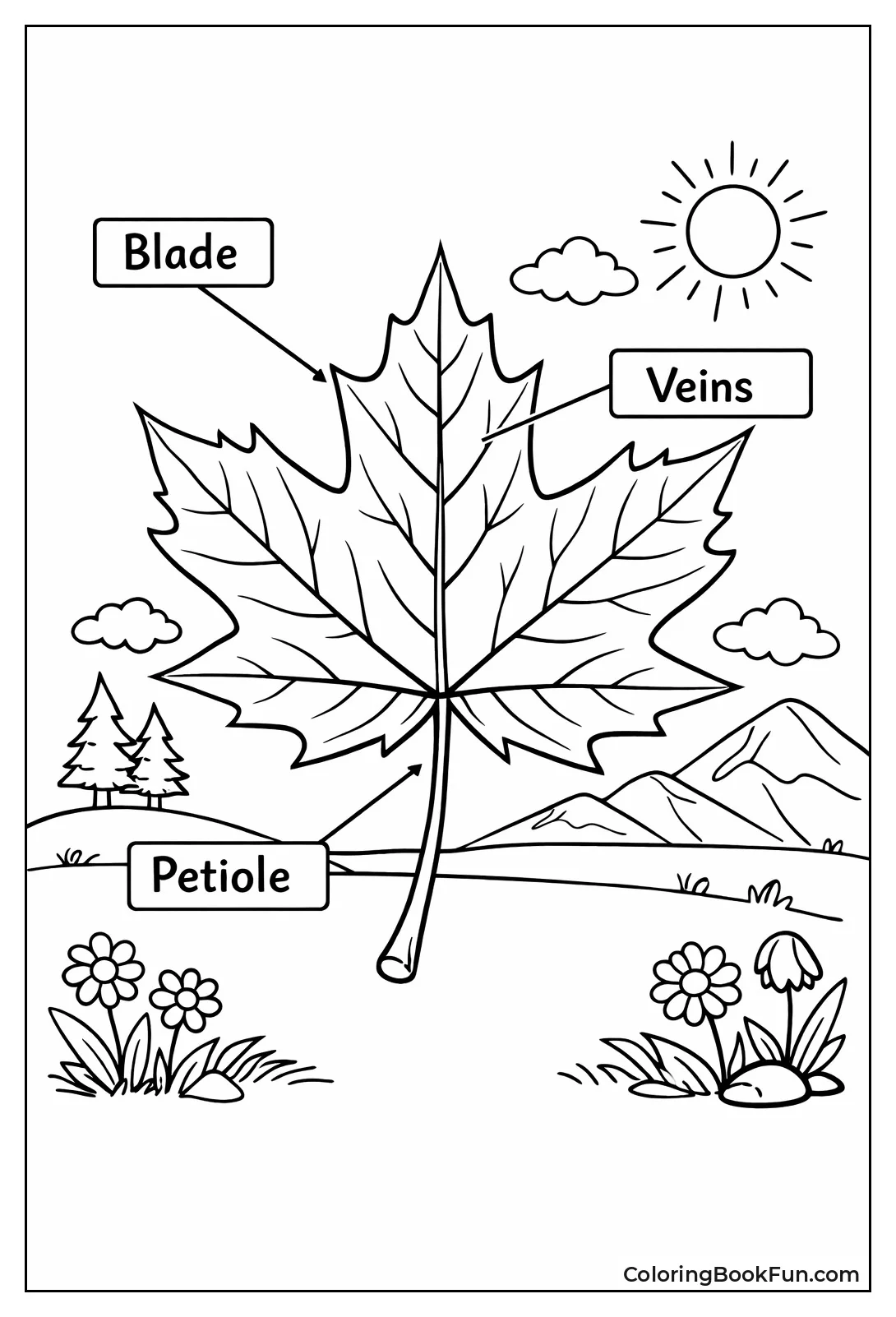 Maple Leaf Parts