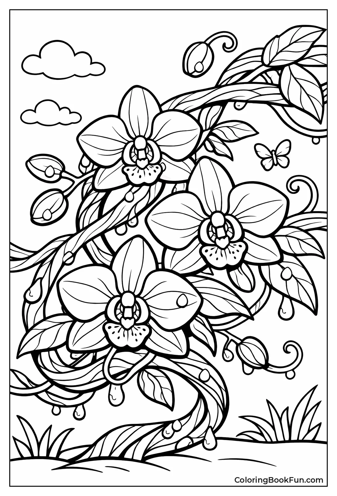 Orchid Blooming on Vine