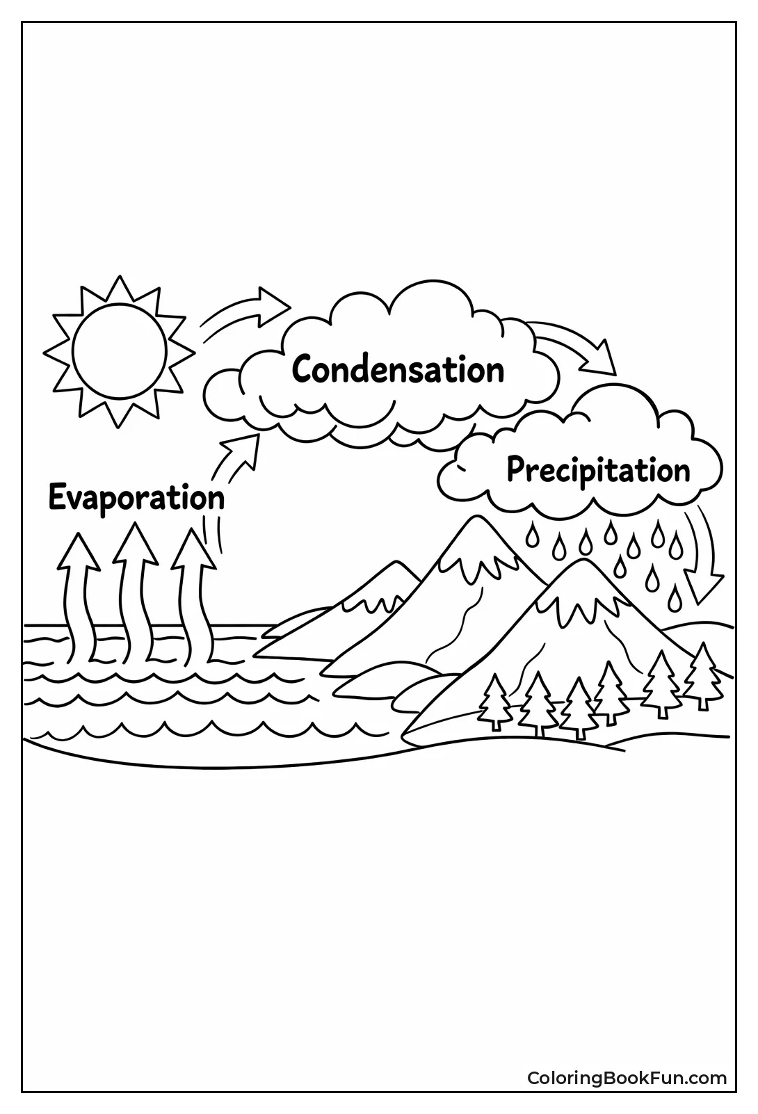 Water Cycle Diagram
