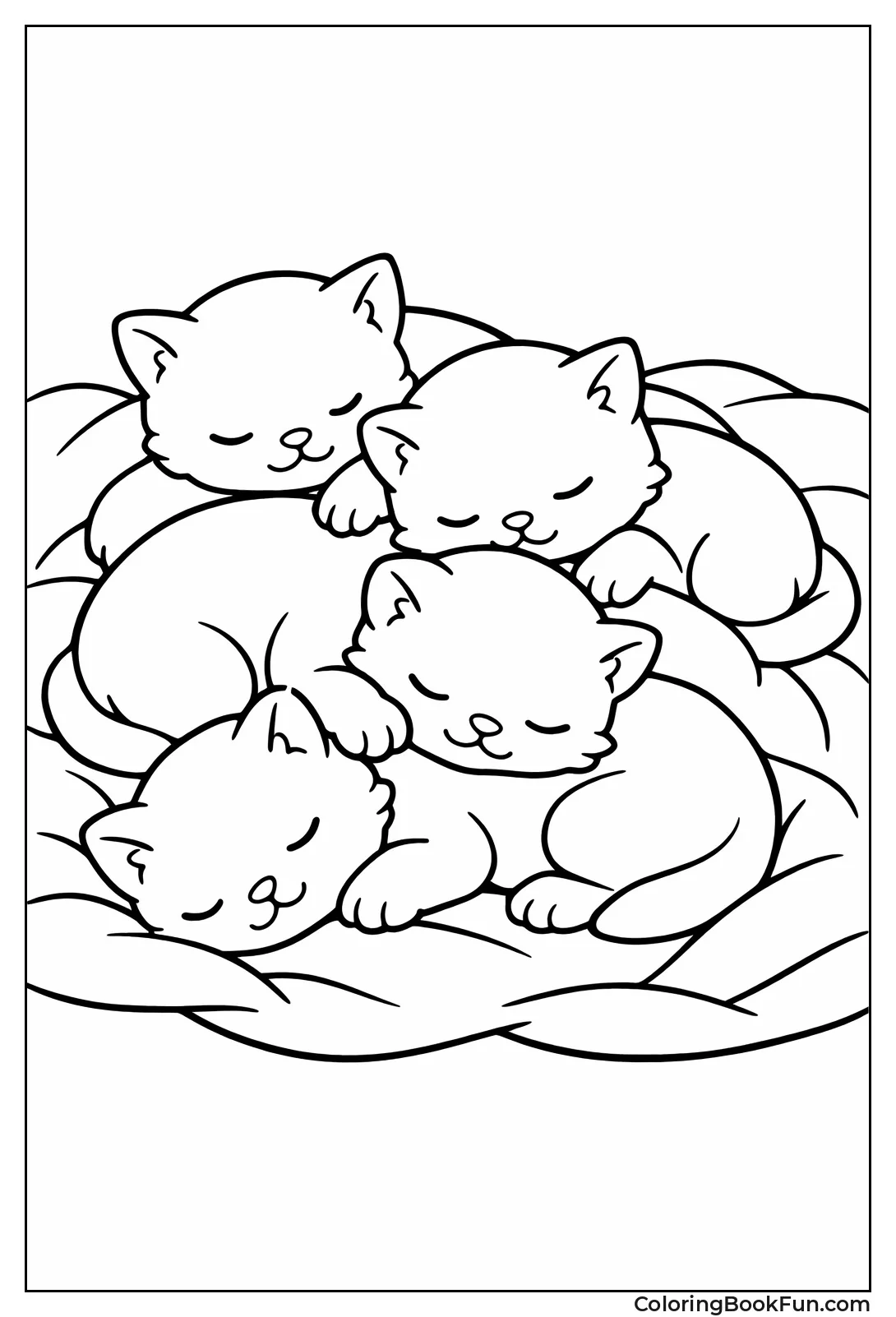 Newborn Kittens on Blanket