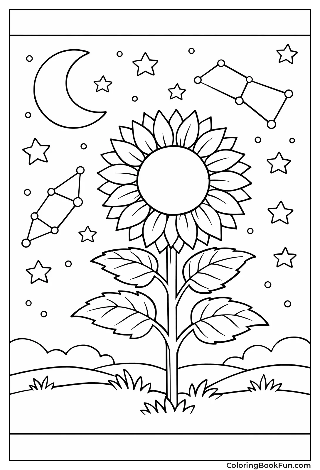 Sunflower under Starry Sky
