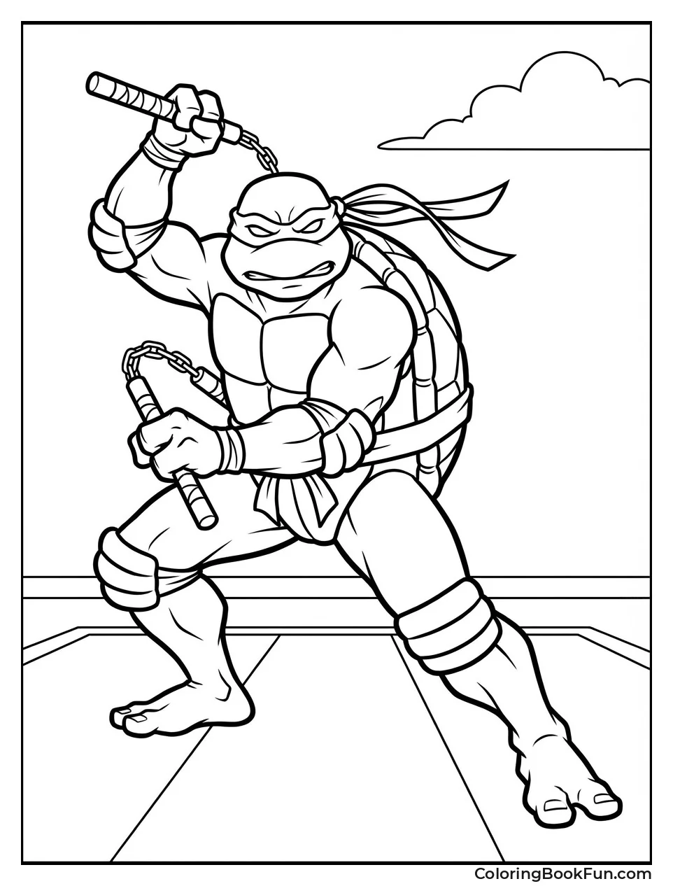 Turtle Ninja with Nunchaku