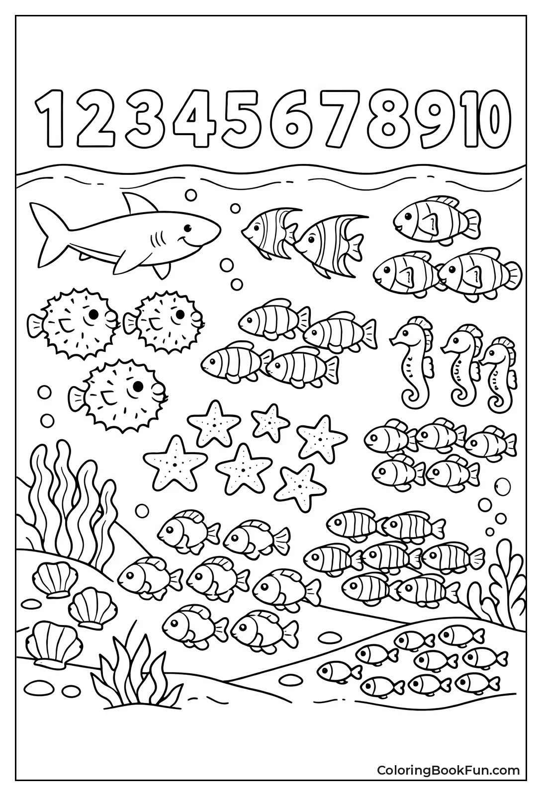 Fish Schools Counting Underwater