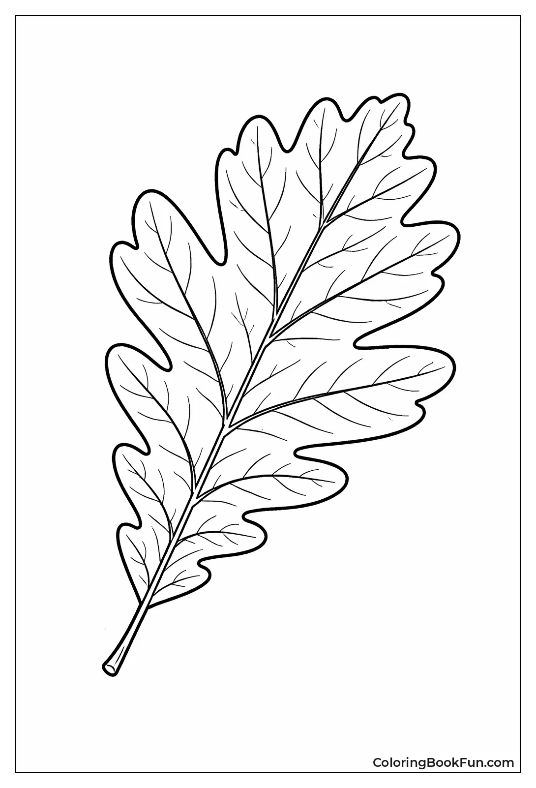 Realistic Oak Leaf Study