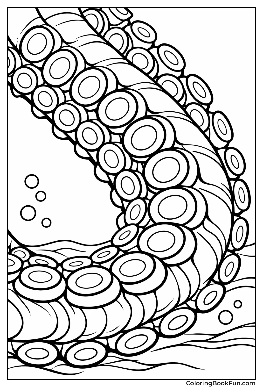 Suction Cup Close up