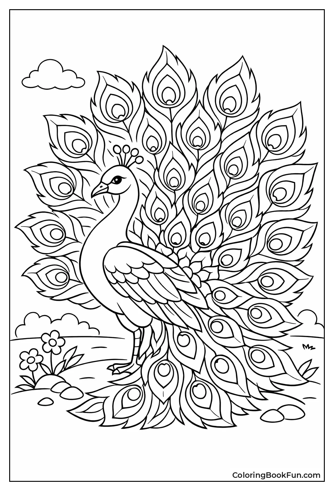 Ornate Peacock Feathers