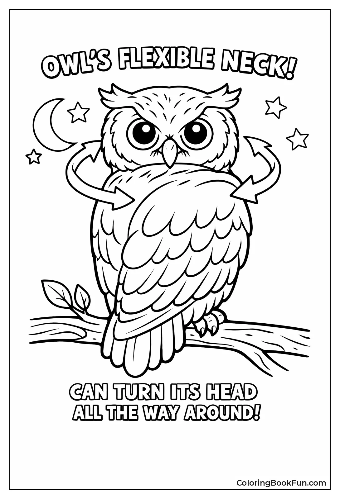 Owl Turns Head Back