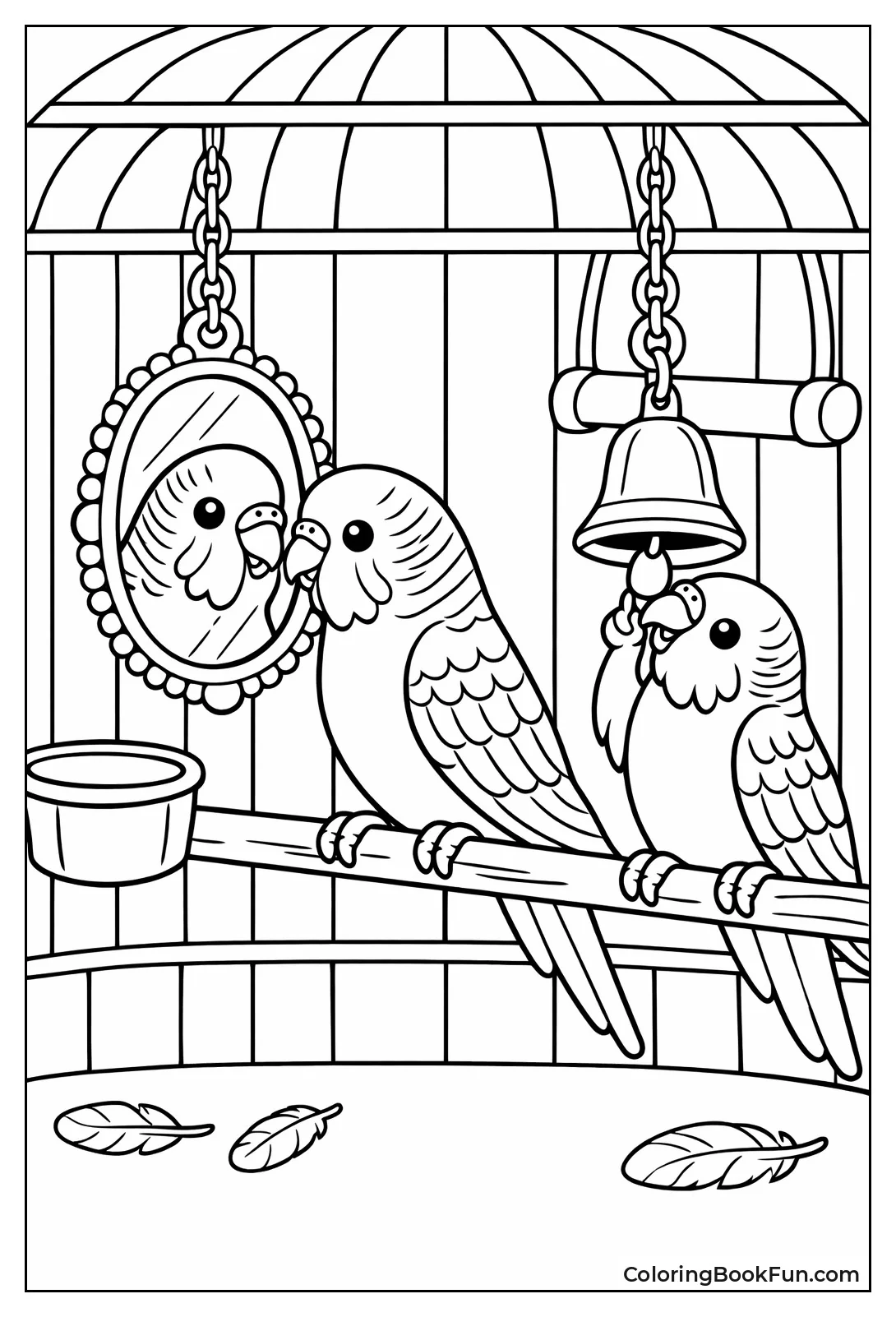 Budgies Playing in Cage