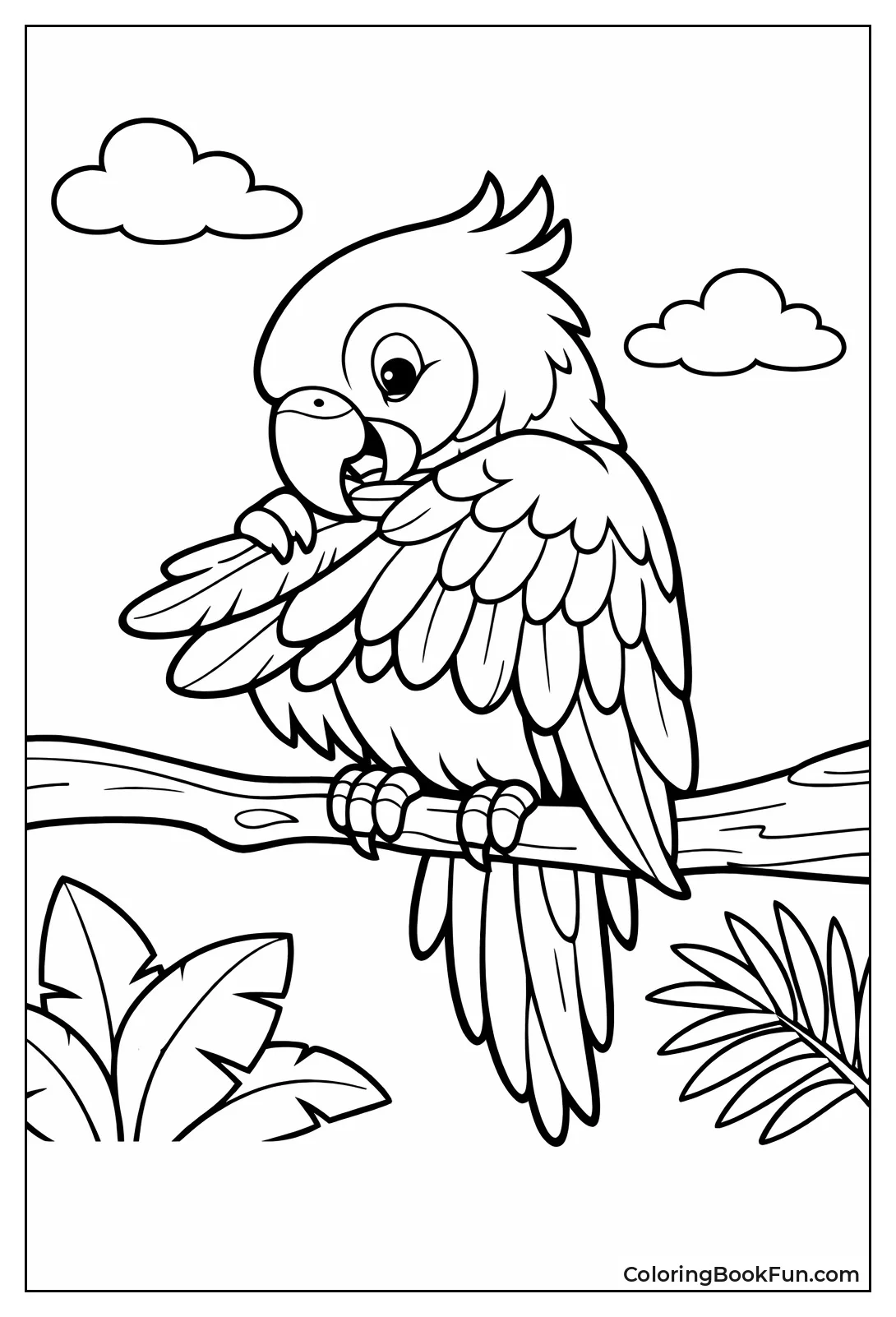 Parrot Preening Wing Feathers