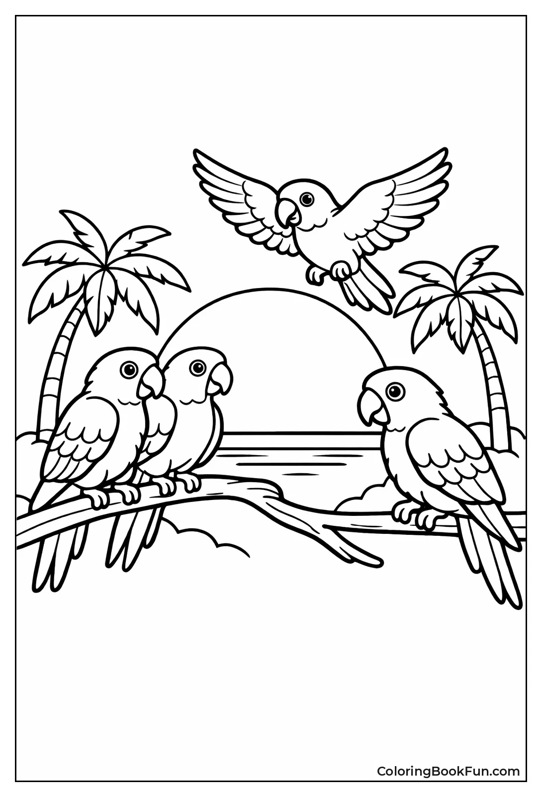 Sun Conures at Sunset