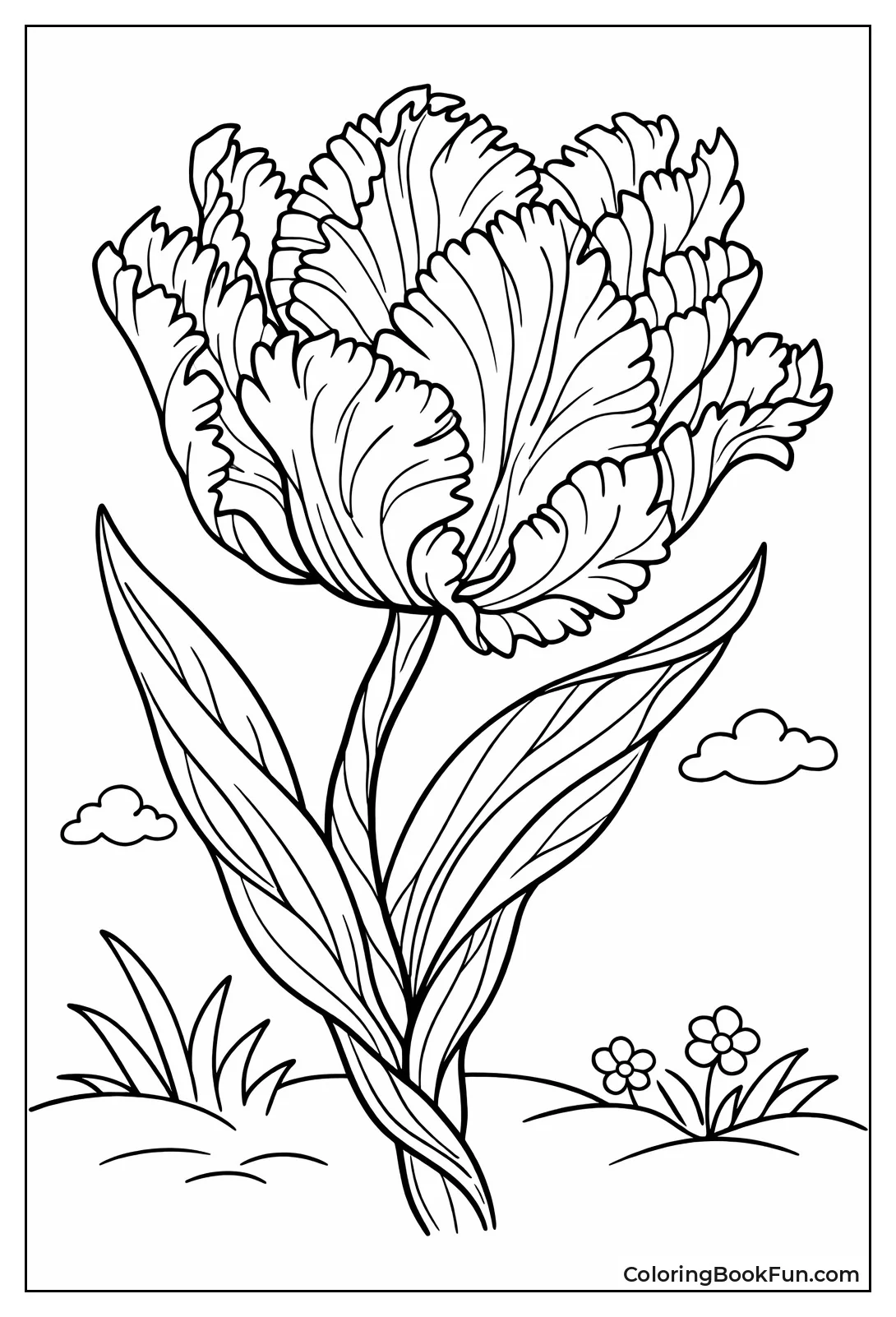 Ruffled Parrot Tulip Blooms