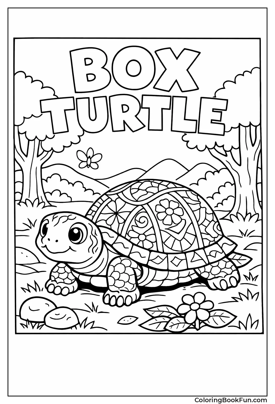 Patterned Box Turtle in Forest