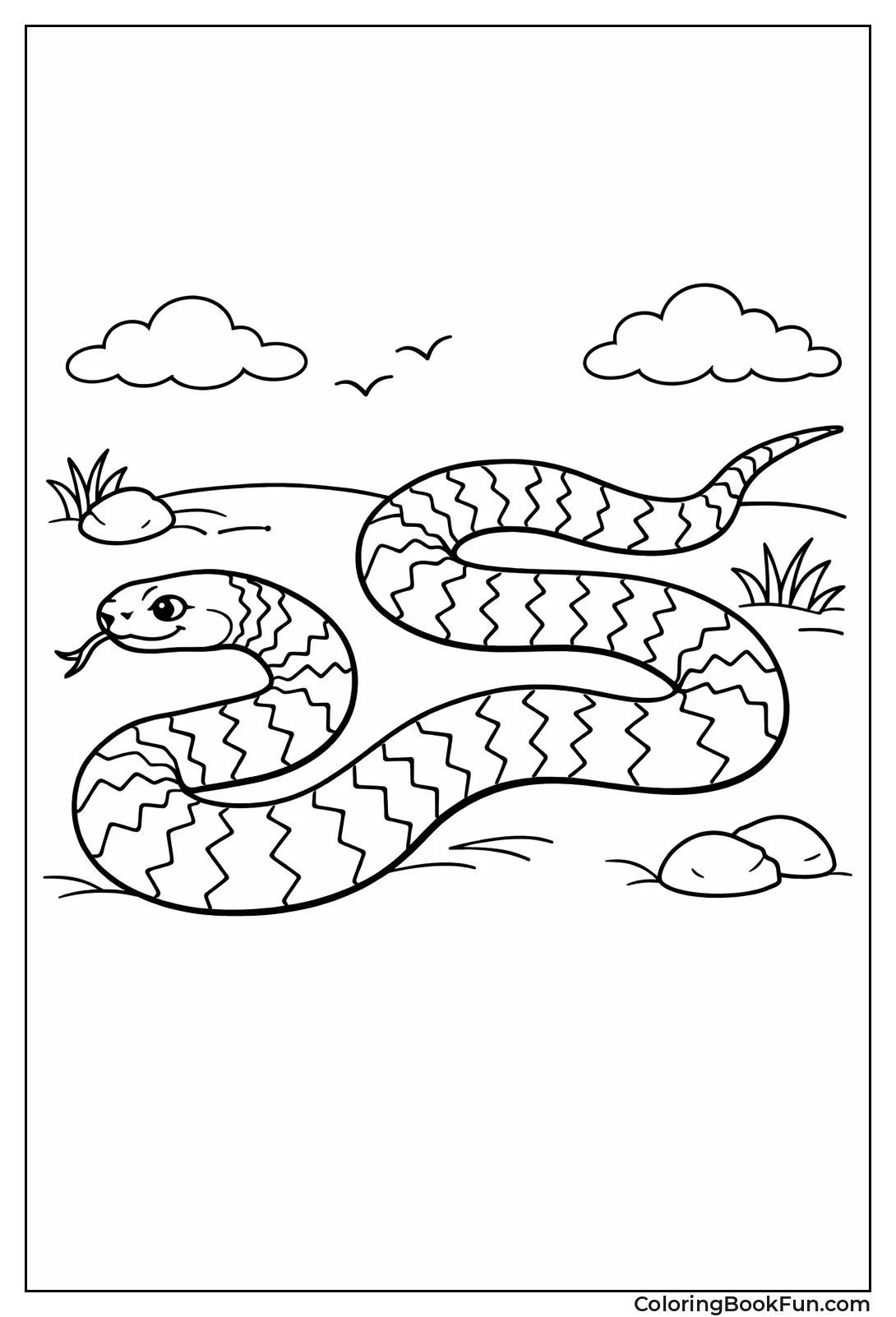 King Snake Zigzag Bands