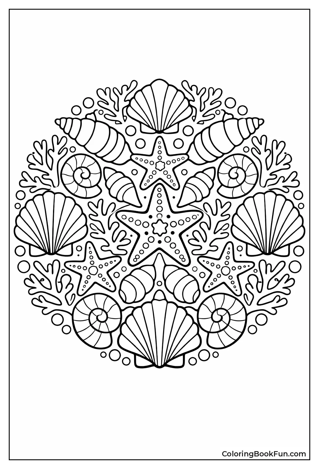 Seashells and Starfish Circle
