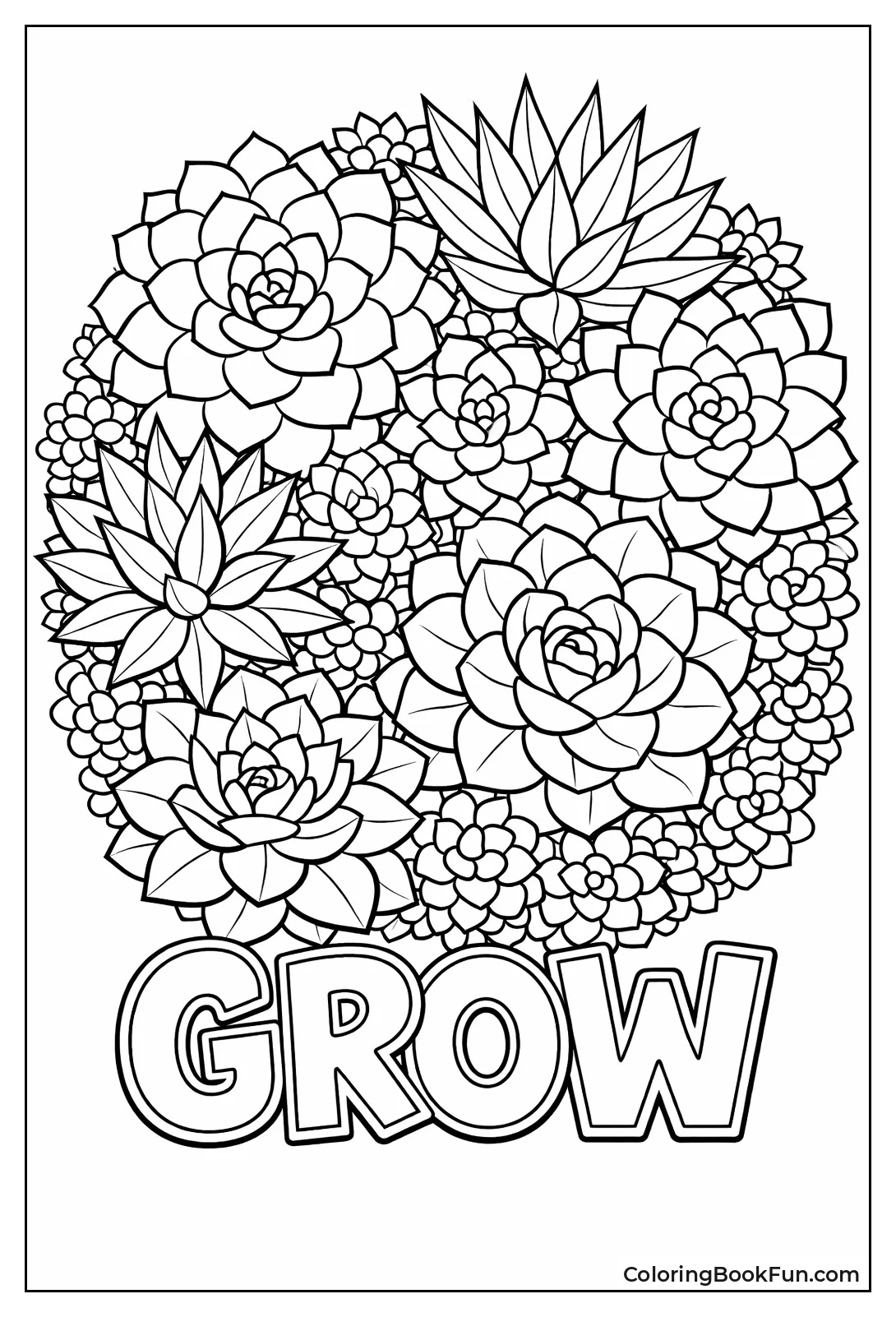 Succulent Plants in Circle