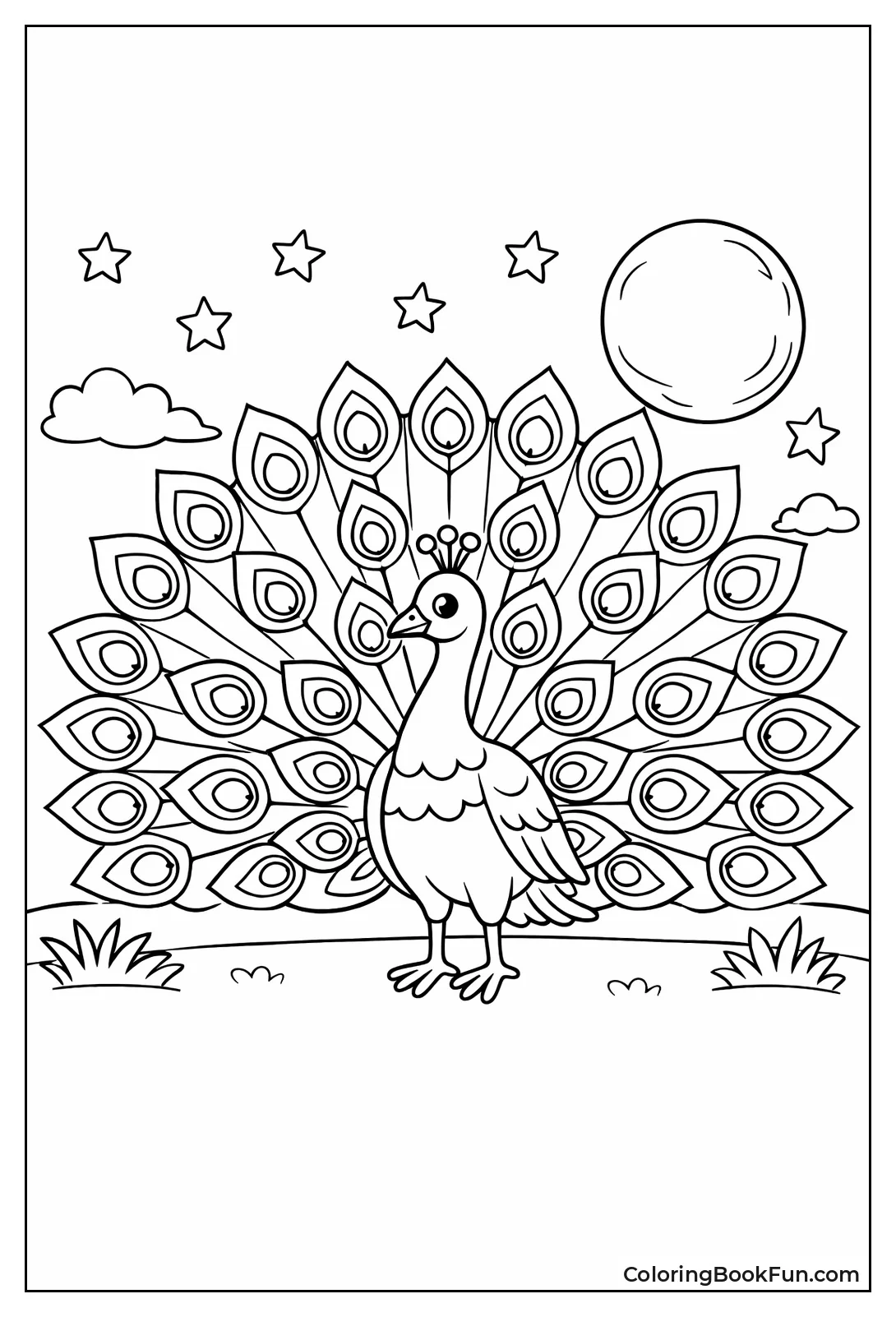 Moonlit Night Display