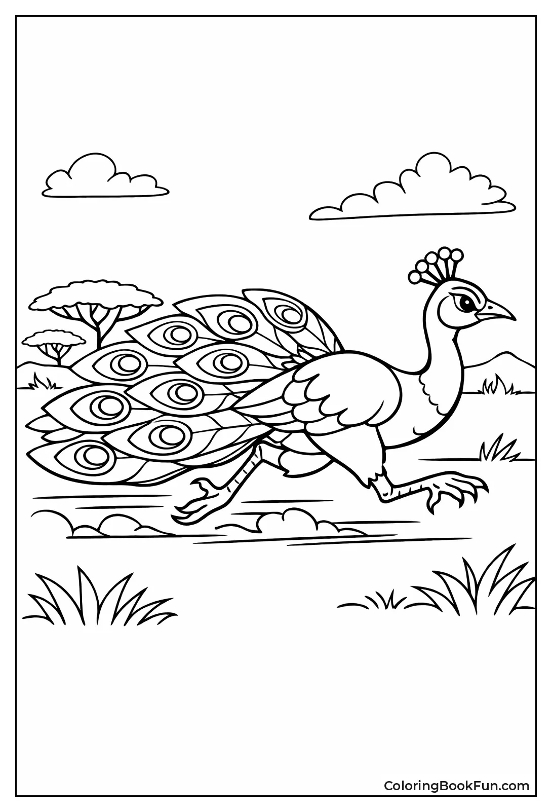 Running Across Grassland