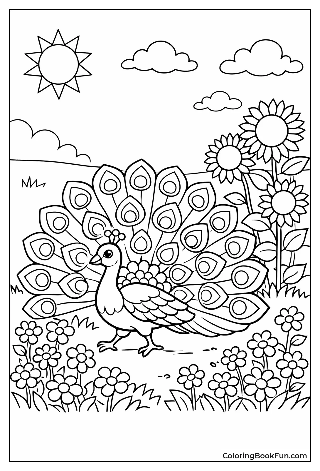 Summer Meadow Stroll