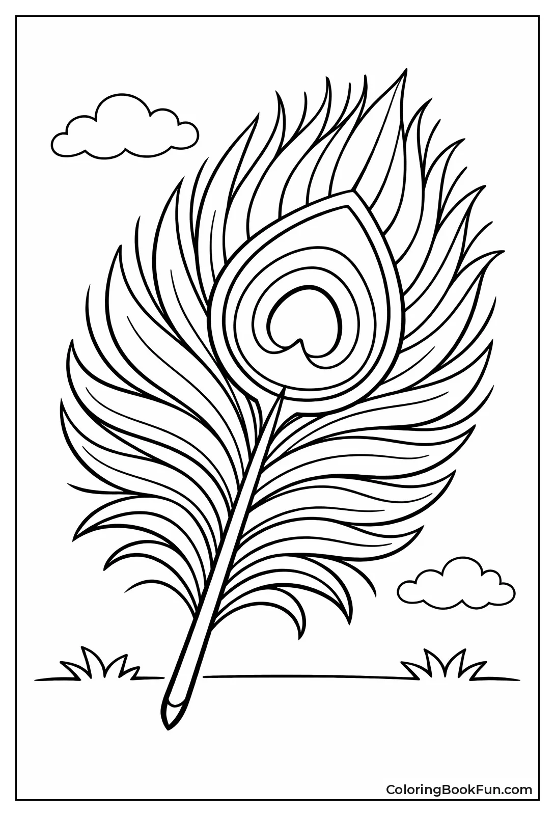 Tail Feather Close up