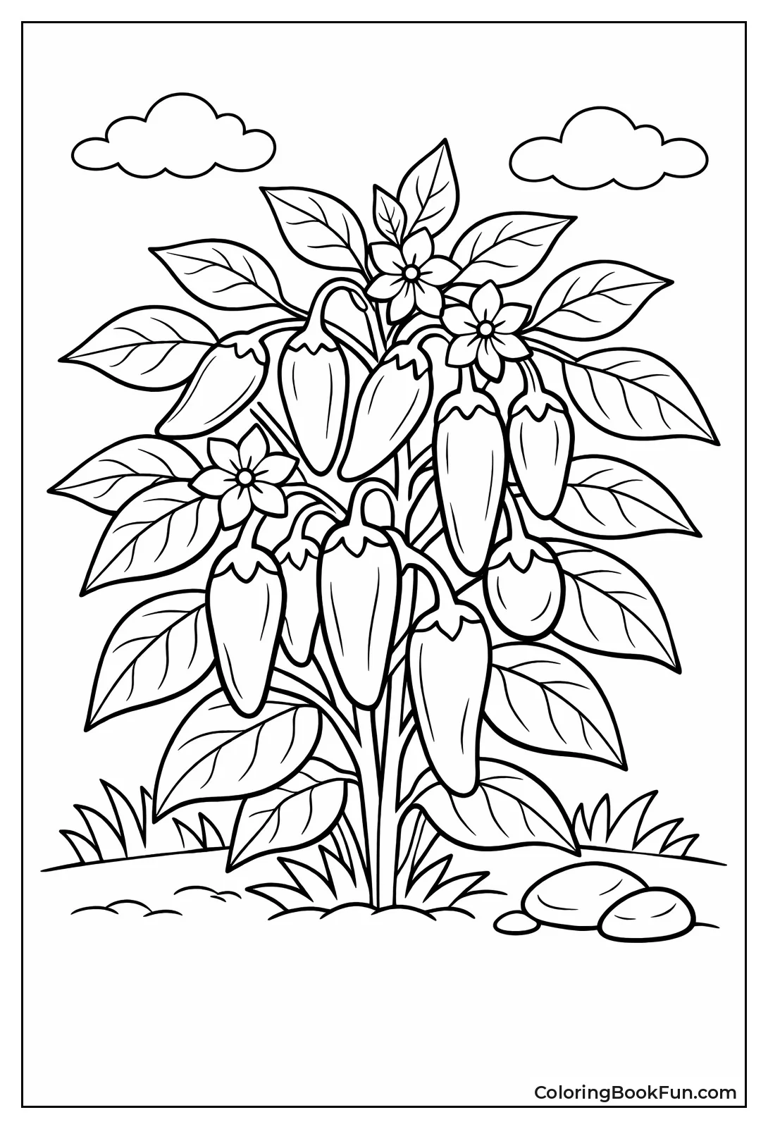 Pepper Plant with Bright Peppers