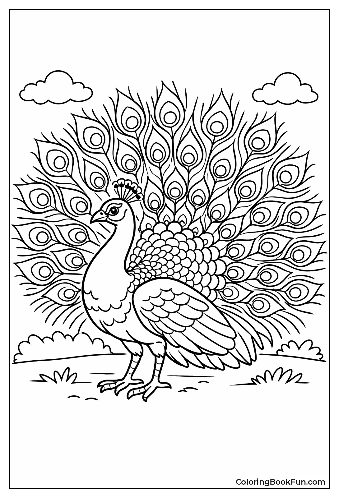 Photorealistic Peacock