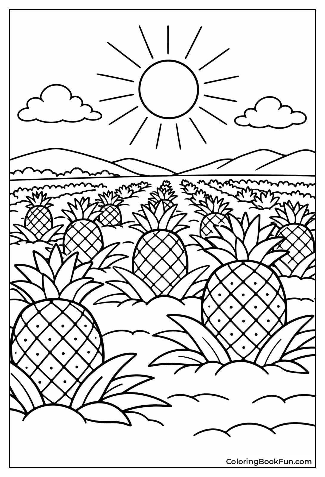 Pineapple Plantation Field