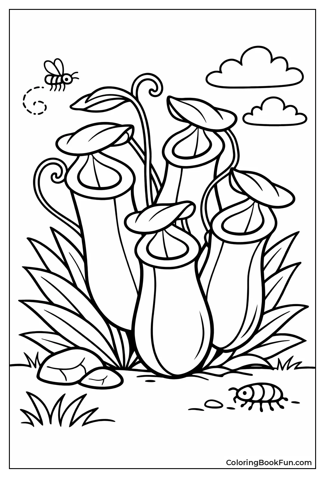 Pitcher Plant Catching Tiny Insects