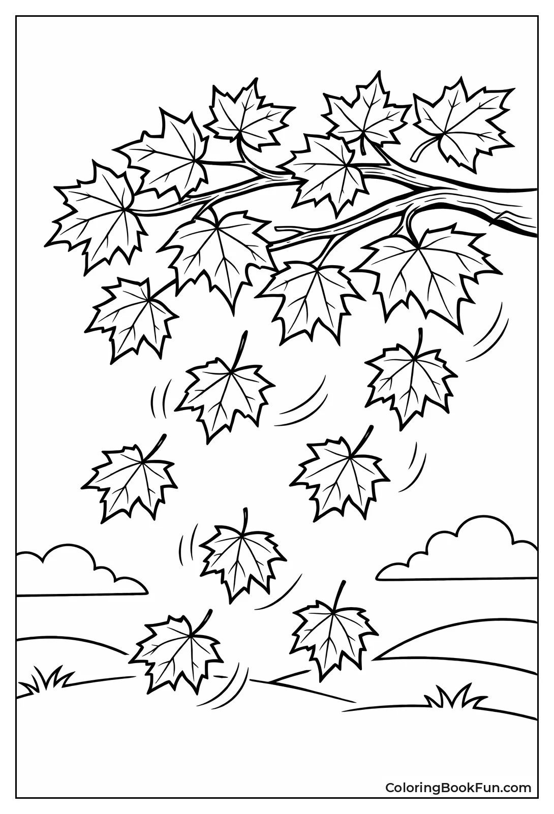 Leaves Fall from Maple Branch