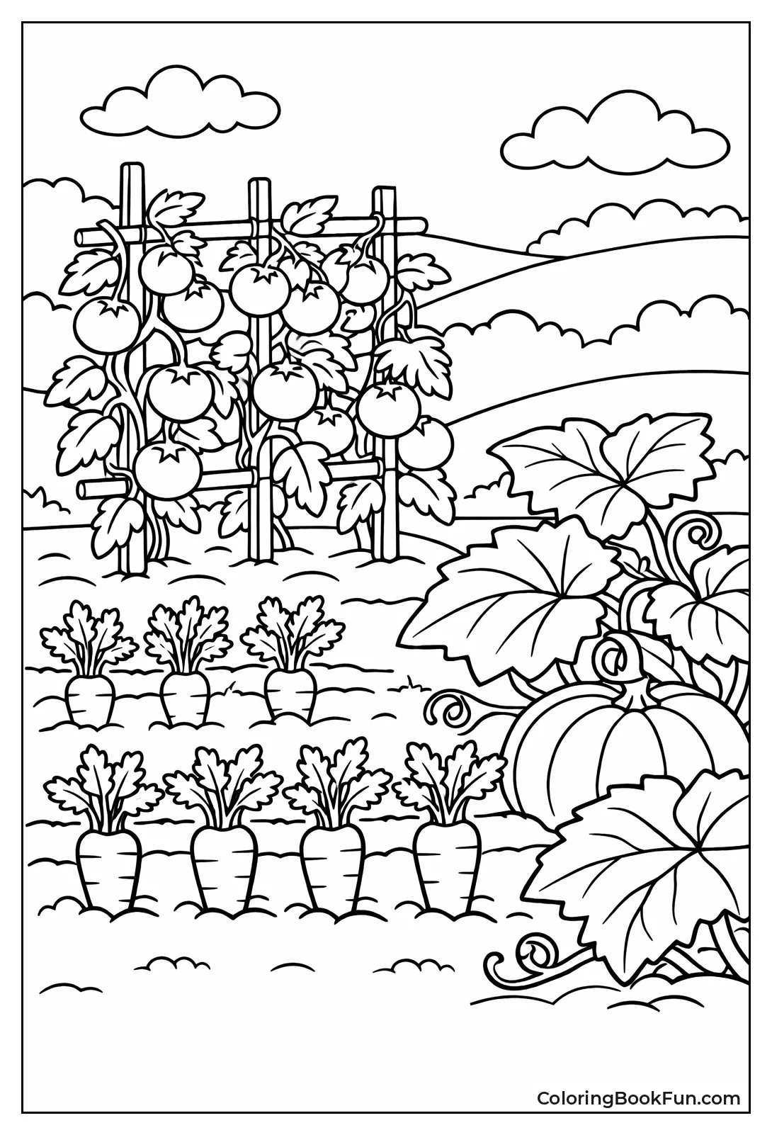 Vegetables Sprout in Garden Patch