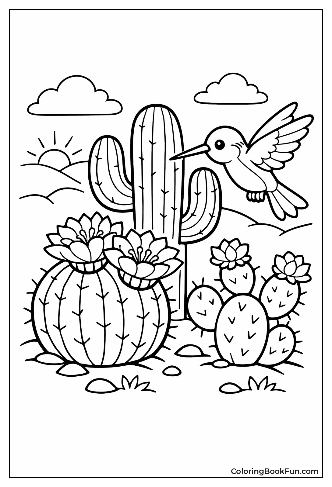 Hummingbird Sips Cactus Flower