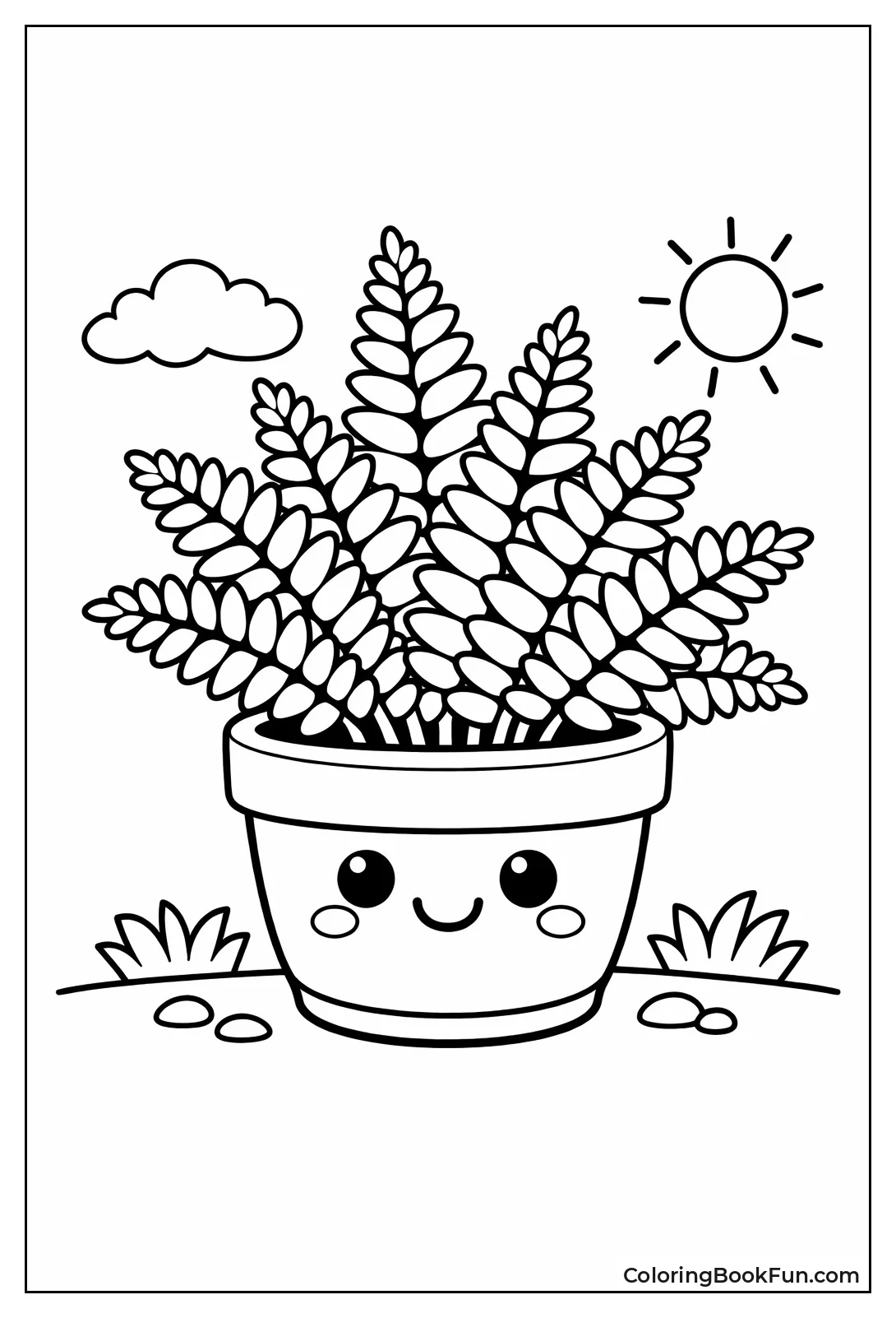Smiling Fern Grows in Pot