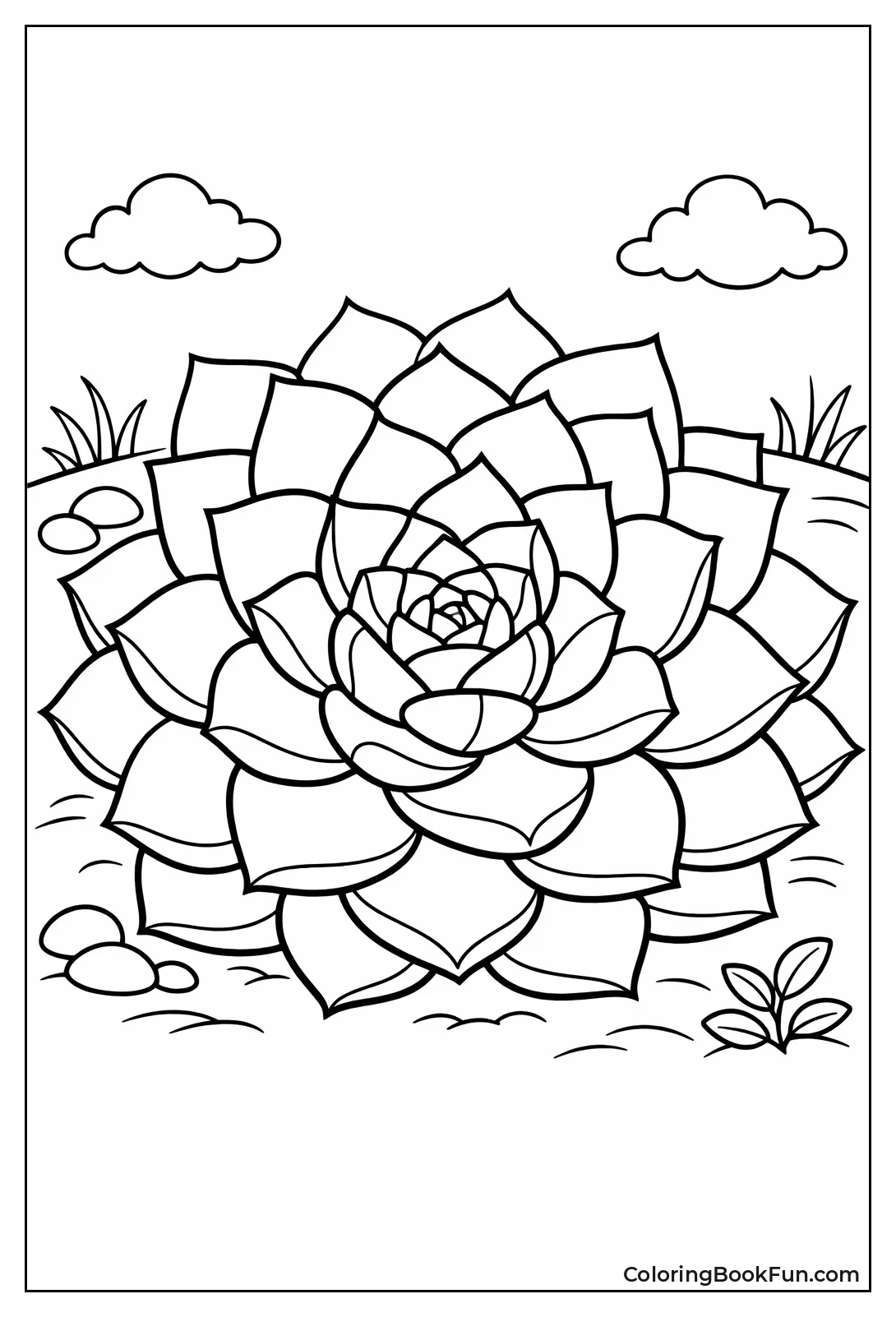 Echeveria Succulent Layers Leaves