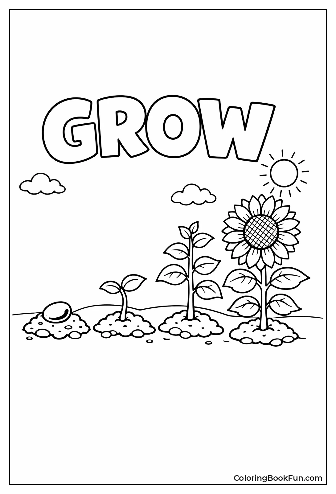 Sunflower Grows from Tiny Seed