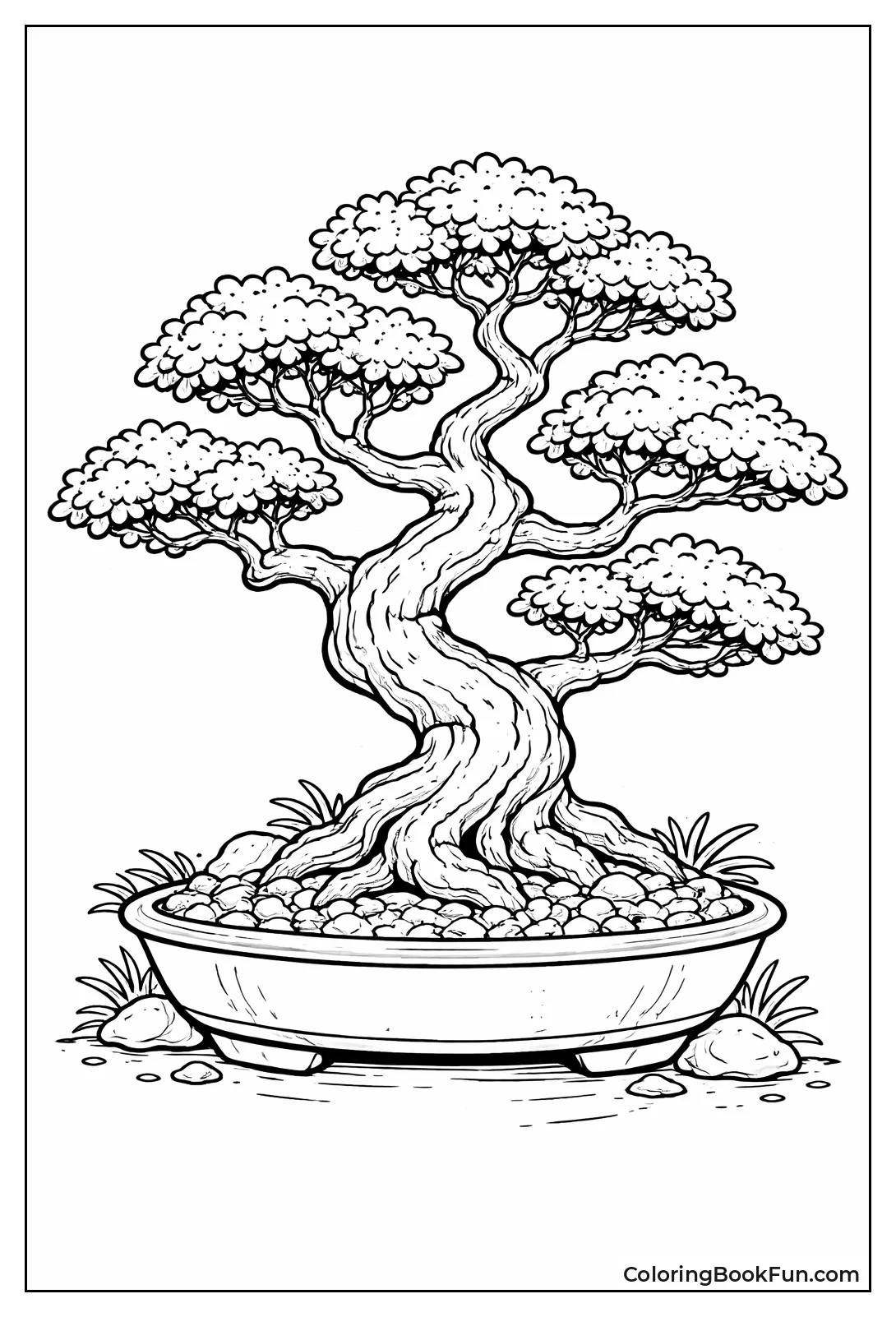 Gnarled Bonsai Sits in Pot