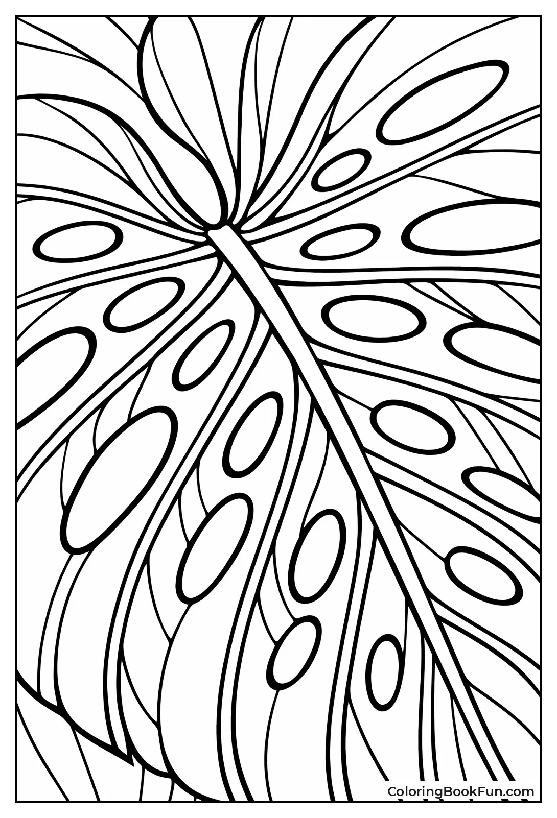 Monstera Leaf Veins Shine