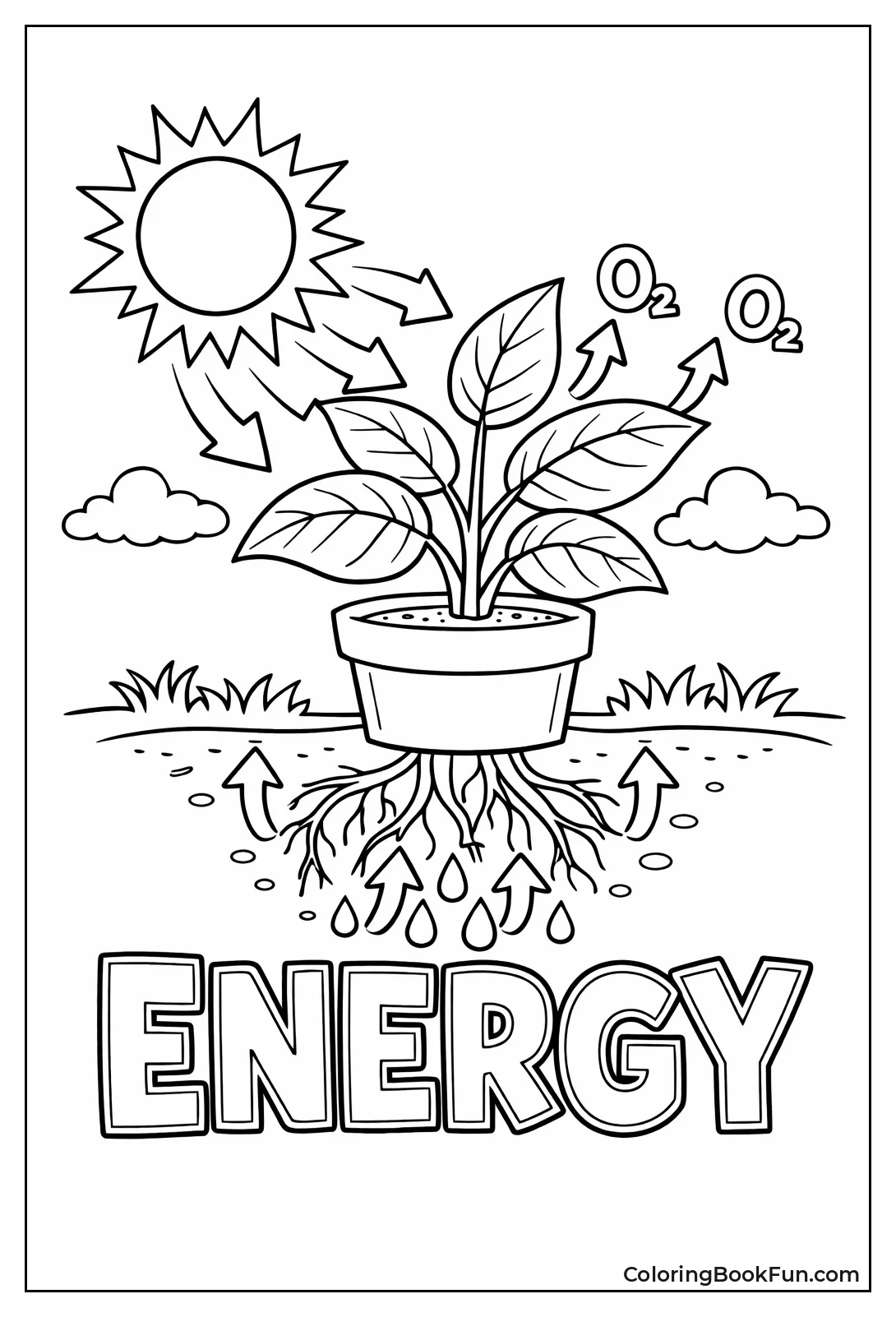 Plant Turns Sun into Food