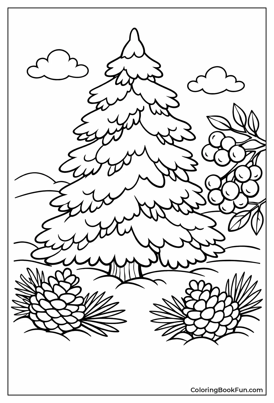 Snow Dusts Pine Tree