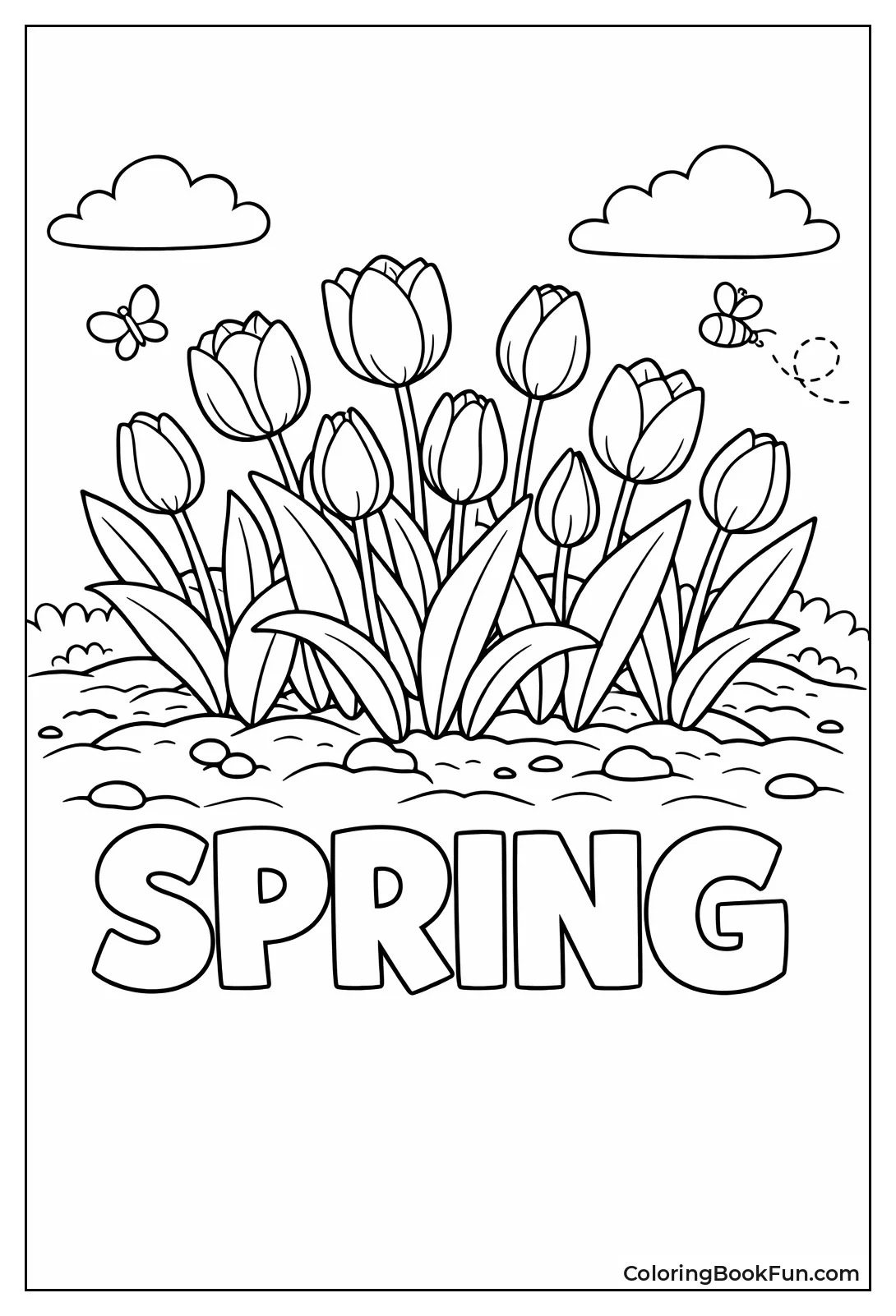 Tulips Rise in Spring Bed